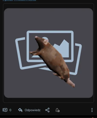 Itslilianka - @Dalegor_ gif schroodingera