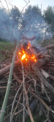 Pesa_elf - Chłop sobie siedzi i kiełbaskę z ogniska ma a wy zazdrośni
#przegryw #jedz...