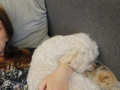 ZgniescMitomanow - fajny pies ciekawe czy ktos kojarzy 

#vanderfiles #przegryw