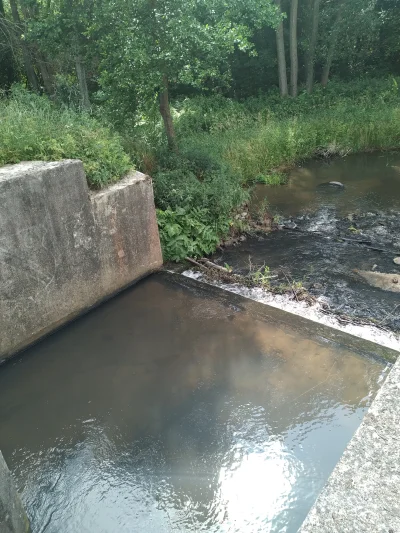 19karol90 - @19karol90: