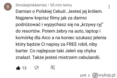 pelt - @gomezz86: Mam jedynie zrzuty ekranu paru komentarzy spod tego vloga