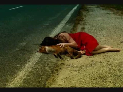 C.....s - Zawsze jak pisze z jakąś babą poznaną przez neta, to po czasie zadają mi pe...