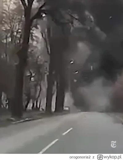 orogonoria2 - Czernihów 2022