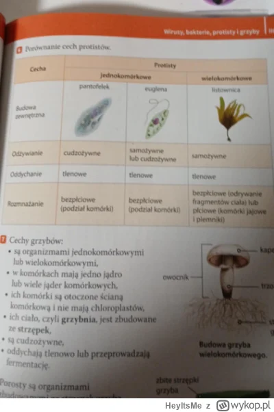 HeyItsMe - @Mr--A-Veed: Piąta klasa.. uczyliśmy się do sprawdzianu z Biologii.. Po ja...