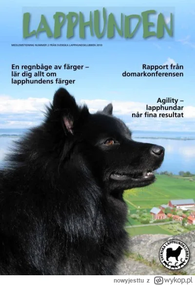 nowyjesttu - Szwedzki Lapphund- rasa psów ze szwedzkiej Laponii. Pies ten nieodłączni...