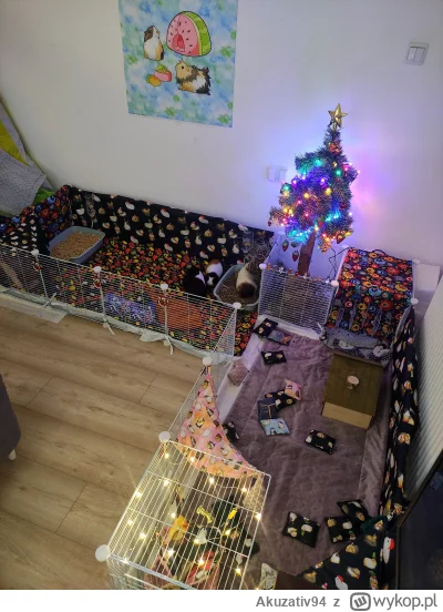 Akuzativ94 - @addddd: mam jobla na punkcie swiniakow, więcej wydaje na wystrój ich wy...