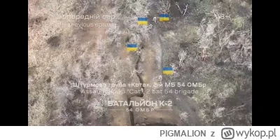 PIGMALION - #ukraina #rosja #wojna

  3 część szturmowania okopów ruskich przez batal...