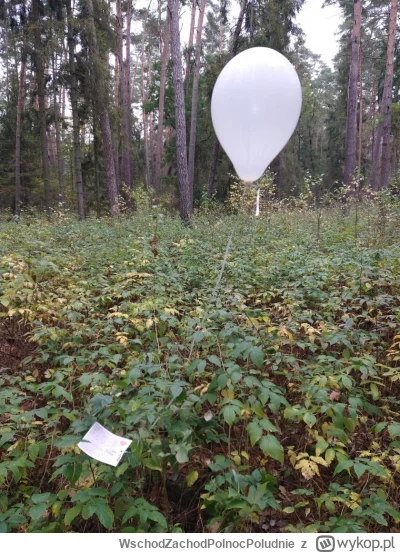 WschodZachodPolnocPoludnie - Mirki znalazlem balon w lesie, to chyba ten z bialorusi?...