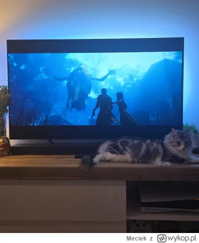 Meciek - Ta gra jest swietna, nie tylko gameplay ale tez fabula wymiata. 

Clair obsc...