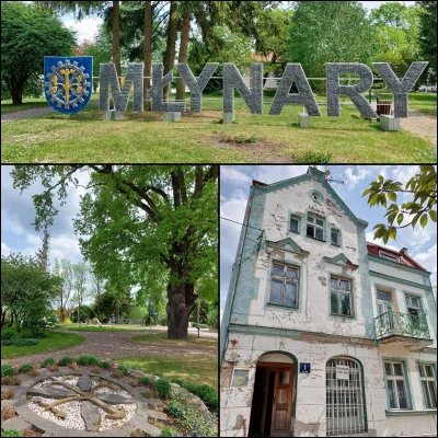 SnikerS89 - >gmina Młynary

Kiedyś rynek w Młynarach otoczony był zabytkowymi kamieni...