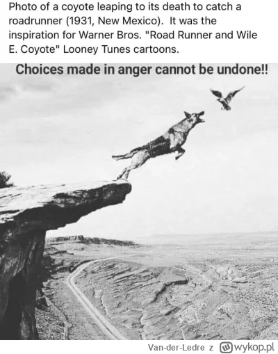 Van-der-Ledre - Ehh...

#przegryw