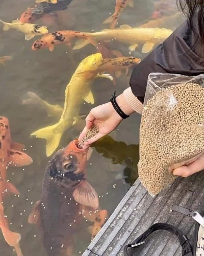 kryzelek - Tak się czuję, kiedy dostaję jakiegoś plusa pod moim wpisem ¯\(ツ)/¯

#hehe...