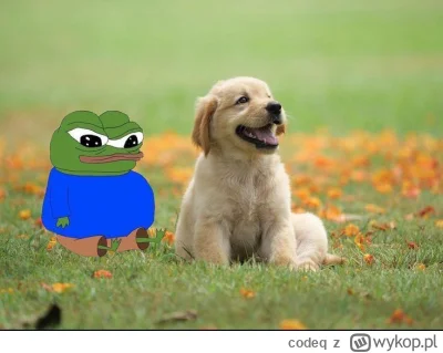 codeq - Wiosna idzie to se chuop chociaż z pimpkiem wyjdzie żeby słońca co poczuć 

#...