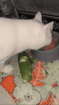 jestemtakizmeczony - @jestemtakizmeczony: