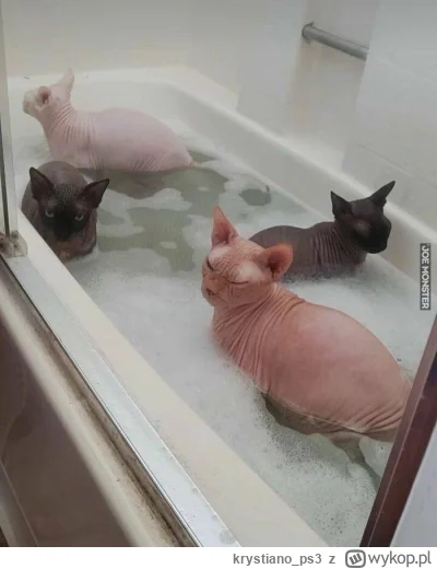 krystiano_ps3 - a wiedzieliscie, ze kotki przed kąpielą zdejmują futerko? bo ja nie w...