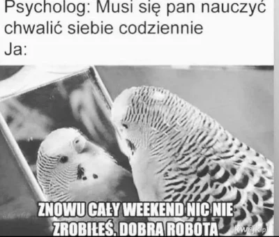 paczelok - #rozwojosobistyznormikami