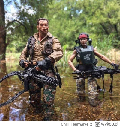 Chilli_Heatwave - #ai #sztucznainteligencja #alienvspredator 

Jeszcze trochę i powst...