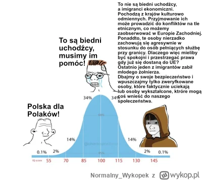 Normalny_Wykopek - #wojna #bialorus #polityka