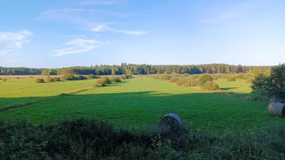 cultofluna - >wielka polana po środku puszczy, która kiedyś w całości była jeziorem, ...