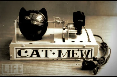 OsamochodO - #koty 
#kotnadzis 
#koteczkizprzypadku 
1963 rok
co minutę miałczał