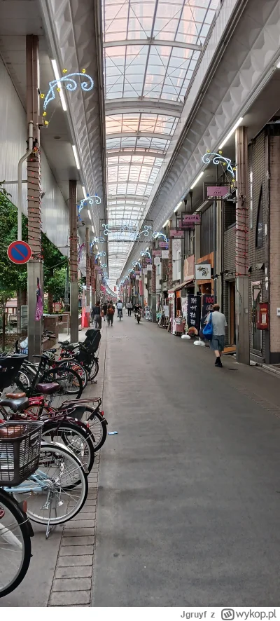 Jgruyf - #japonia nie przestaje zadziwiać. Dzisiaj sobie do Kyoto rowerkiem pokręciłe...