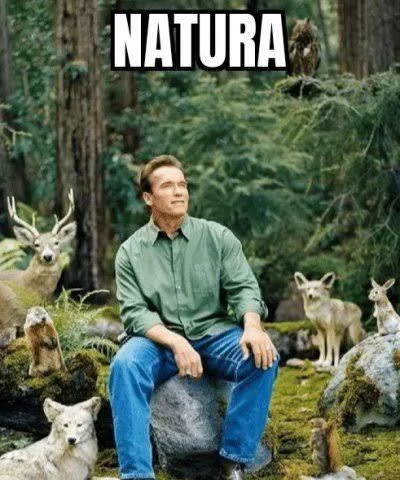 Alessandro - @WiecznySingielprzed30: Natura.