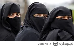 zyneks - Niech pojadą do krajów arabskich i tam manifestują swój feminizm.( ͡° ʖ̯ ͡°)...