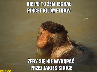 CynicznyDlugouch - @xyz_xyz polecę klasykiem