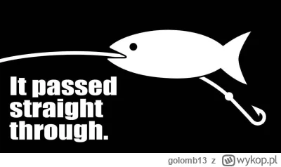 golomb13 - @jombsik: