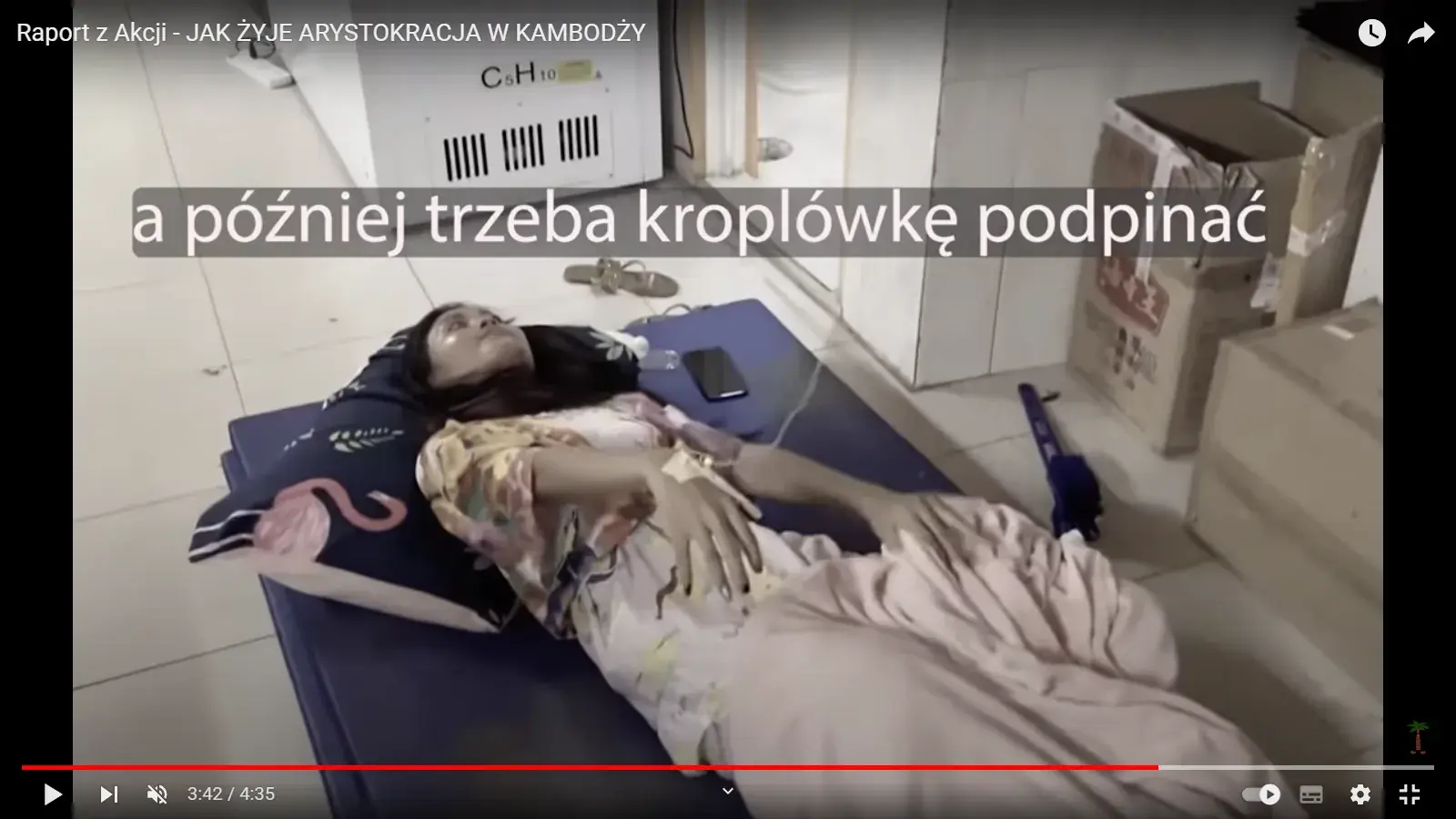 zbyszek-krol - @Koner1391: Zawsze jak widze tę kurtyzanę, to przypomina mi się ta  dr...