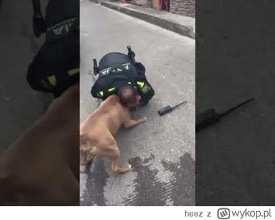 heez - @anesthetize11