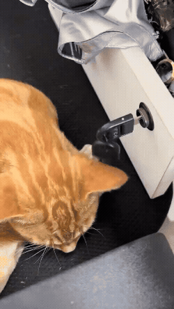 jestemtakizmeczony - @jestemtakizmeczony: