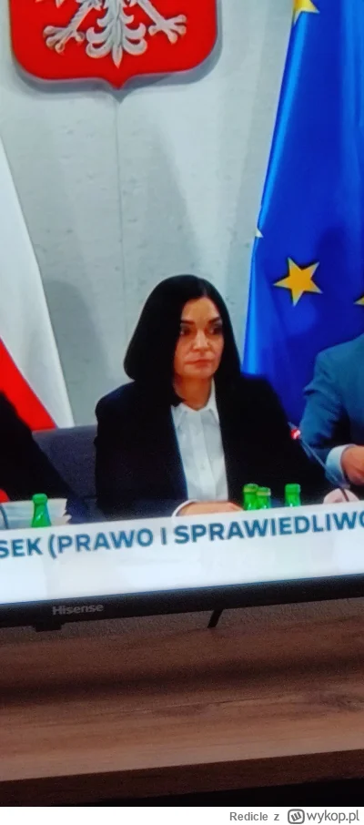 Redicle - #sejm #sejmboners