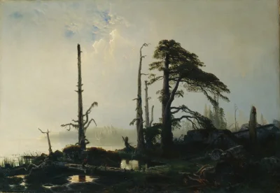 Corvus_Frugilagus - August Cappelen - Jezioro we mgle

#corvusfrugilaguscontent