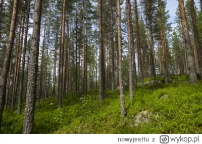 n.....u - Las Las Las