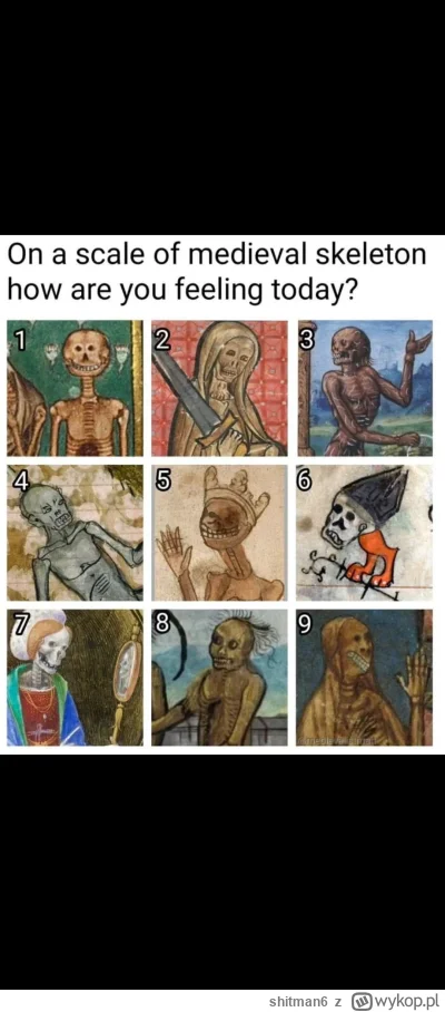 shitman6 - Mireczki, zaparaszam do porannej ankiety