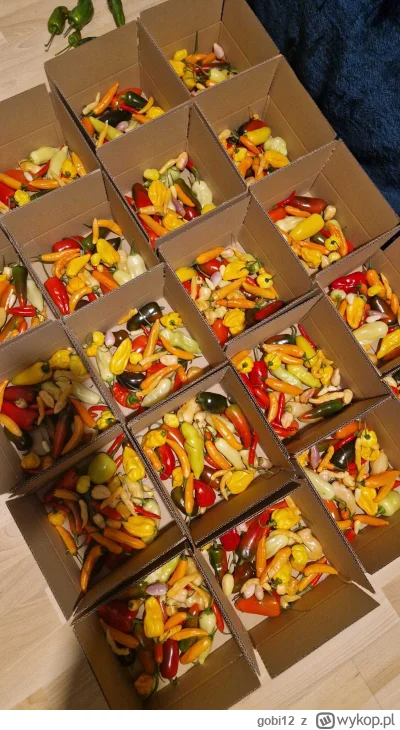 gobi12 - Pakowanie pakietów z ostatniego w tym roku zbioru chili jak widać na zdjęciu...