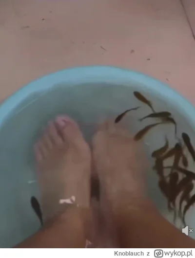 Knoblauch - #raportzpanstwasrodka