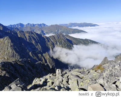 hos85 - (｡◕‿‿◕｡)
#tatry #gory #spierdotrip