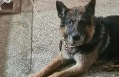 Thelastperfect_man - Jakieś nowe wiadomości o obrońcy mostu były? 

#powodz #powodz20...