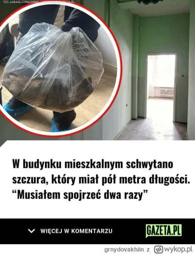 grnydovakhiin - Żul szczurów
#konkursnanajbardziejgownianymemznosaczem