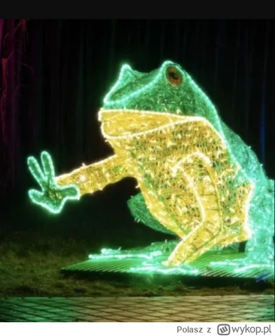 Polasz - Legenda głosi, że zaczęło się od tej żaby  ( ͡° ͜ʖ ͡°)