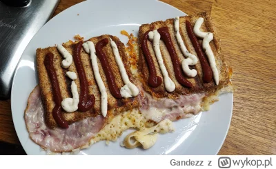 Gandezz - @dos_badass najważniejsze że przyprawa do pizzy jest, wtedy jest sztos, no ...