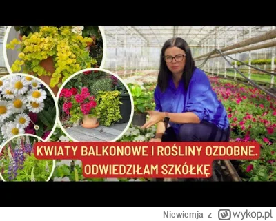 Niewiemja - >Od razu ze sklepu powędrowała na mocno nasłoneczniony balkon

@ewataewa:...