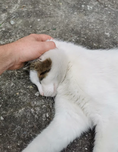 SatanWasa_Babyboomer - Dobra już uspokojony