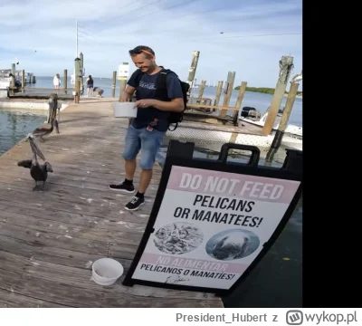 President_Hubert - Dwóch matołów i zakaz karmienia pelikanów#kikiswiat