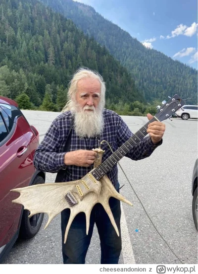 cheeseandonion - #noigitara