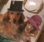 ada_lovelace - @NaczelnyAgnostyk: