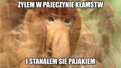 Sirius_Son - #konkursnanajbardziejgownianymemznosaczem