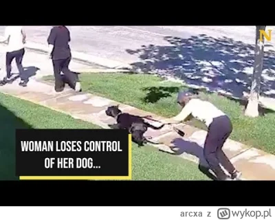 arcxa - ale przydzwoniła brodą w asfalt 

#psiarze #bekazpodludzi #patologiazmiasta